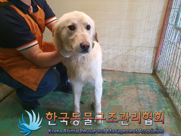 한국동물구조관리협회_441560202300770